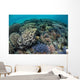 Colorful Corals near Island Wall Decal