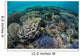 Colorful Corals near Island Wall Decal