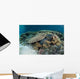 Reef-building Corals near Alor Wall Decal Design 3