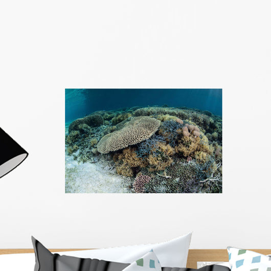 Reef-building Corals near Alor Wall Decal Design 3
