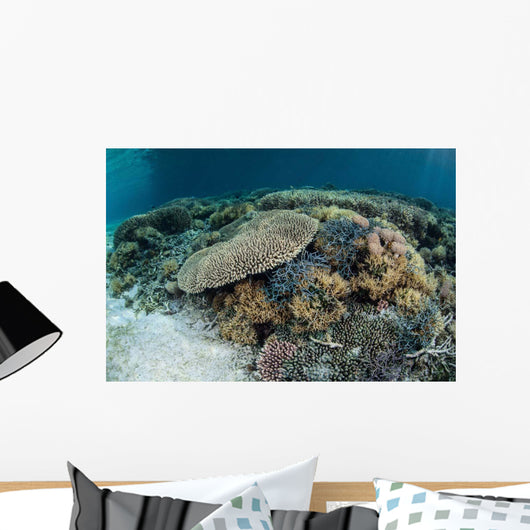 Reef-building Corals near Alor Wall Decal Design 3
