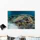 Reef-building Corals near Alor Wall Decal Design 3