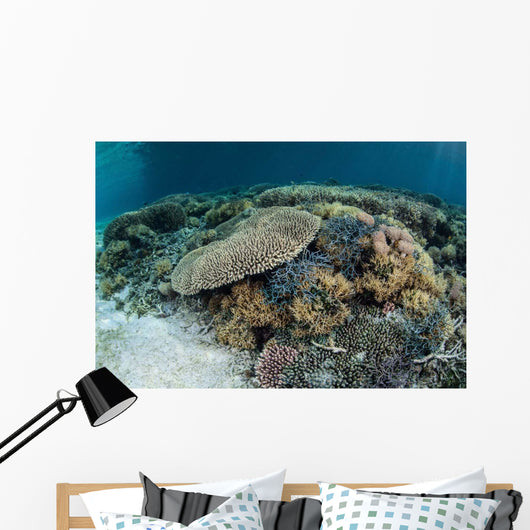 Reef-building Corals near Alor Wall Decal Design 3