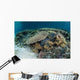 Reef-building Corals near Alor Wall Decal Design 3