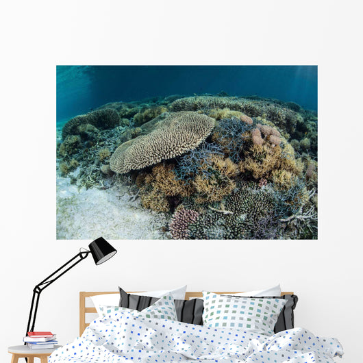 Reef-building Corals near Alor Wall Decal Design 3