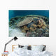 Reef-building Corals near Alor Wall Decal Design 3