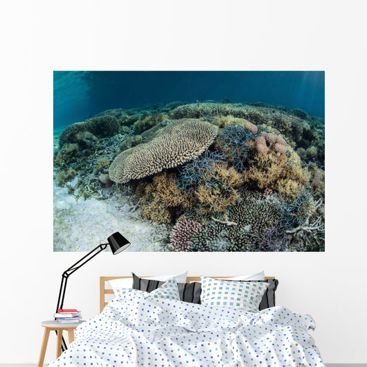Reef-building Corals near Alor Wall Decal Design 3
