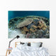 Reef-building Corals near Alor Wall Decal Design 3