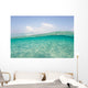 Sunlight Ripples across Shallow Wall Decal Design 1