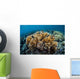 Colony Fire Coral Grows Wall Decal
