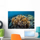 Colony Fire Coral Grows Wall Decal