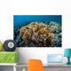 Colony Fire Coral Grows Wall Decal