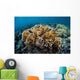 Colony Fire Coral Grows Wall Decal