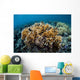 Colony Fire Coral Grows Wall Decal