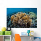 Colony Fire Coral Grows Wall Decal