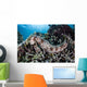 Sea Cucumber Clings to Wall Decal