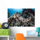 Sea Cucumber Clings to Wall Decal