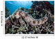 Sea Cucumber Clings to Wall Decal