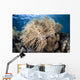 Soft Coral Colony near Wall Decal