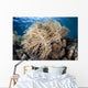 Soft Coral Colony near Wall Decal