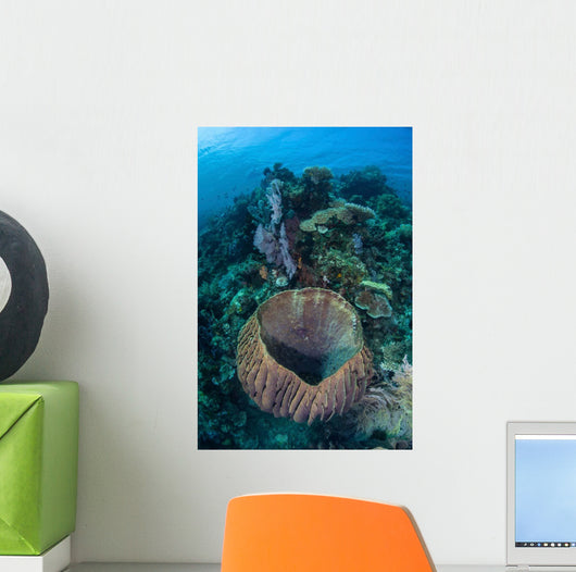 Massive Barrel Sponge Grows Wall Decal Design 2