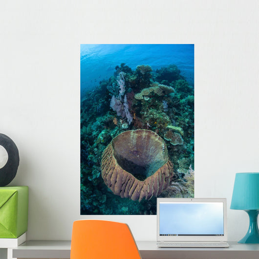 Massive Barrel Sponge Grows Wall Decal Design 2