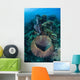 Massive Barrel Sponge Grows Wall Decal Design 2