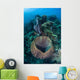 Massive Barrel Sponge Grows Wall Decal Design 2