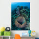 Massive Barrel Sponge Grows Wall Decal Design 2