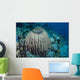 Massive Barrel Sponge Grows Wall Decal Design 1