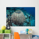 Massive Barrel Sponge Grows Wall Decal Design 1