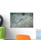 Banded Sea Snake Swims Wall Decal