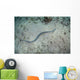 Banded Sea Snake Swims Wall Decal
