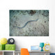 Banded Sea Snake Swims Wall Decal