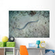 Banded Sea Snake Swims Wall Decal