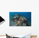 Cardinalfish Surround Beautiful Coral Wall Decal