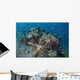 Cardinalfish Surround Beautiful Coral Wall Decal