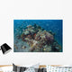 Cardinalfish Surround Beautiful Coral Wall Decal