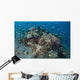 Cardinalfish Surround Beautiful Coral Wall Decal