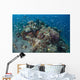 Cardinalfish Surround Beautiful Coral Wall Decal