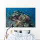 Cardinalfish Surround Beautiful Coral Wall Decal