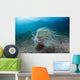 Tube Anemone Sand Slope Wall Decal