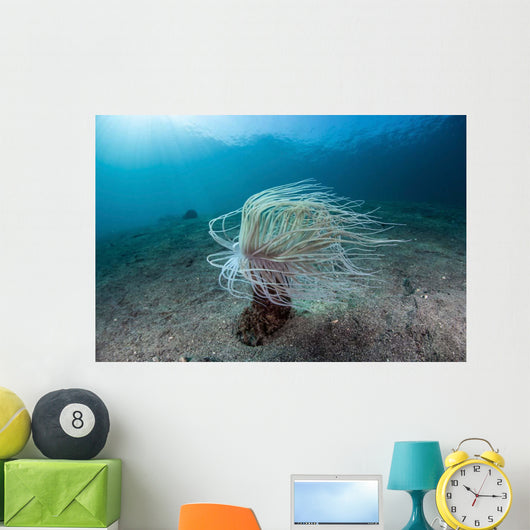 Tube Anemone Sand Slope Wall Decal