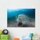 Tube Anemone Sand Slope Wall Decal