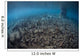 Mangrove Roots Rise from Wall Decal Design 3