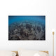 Mangrove Roots Rise from Wall Decal Design 2