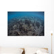 Mangrove Roots Rise from Wall Decal Design 2