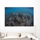 Mangrove Roots Rise from Wall Decal Design 2