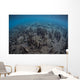 Mangrove Roots Rise from Wall Decal Design 2