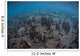 Mangrove Roots Rise from Wall Decal Design 2